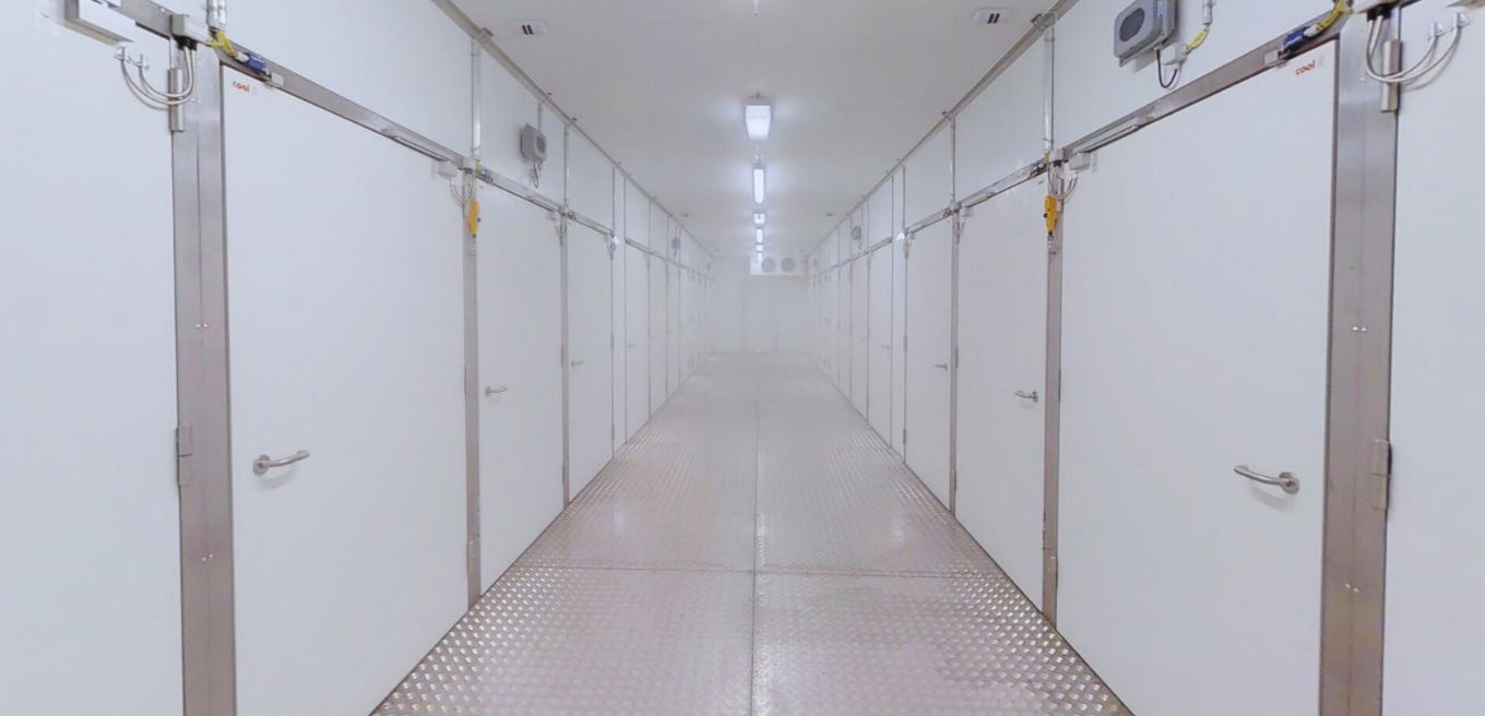 Corridor Hero - picture (728 x 440 px) (1)