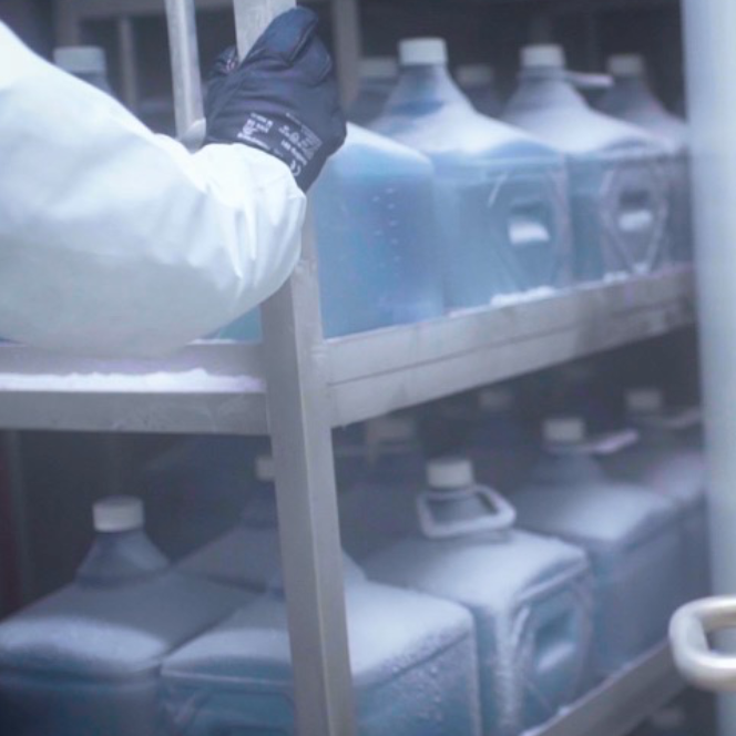 Trolleys (664 x 664)